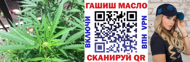 Дистиллят ТГК THC oil Кудрово