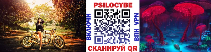 Псилоцибиновые грибы GOLDEN TEACHER  Кудрово 